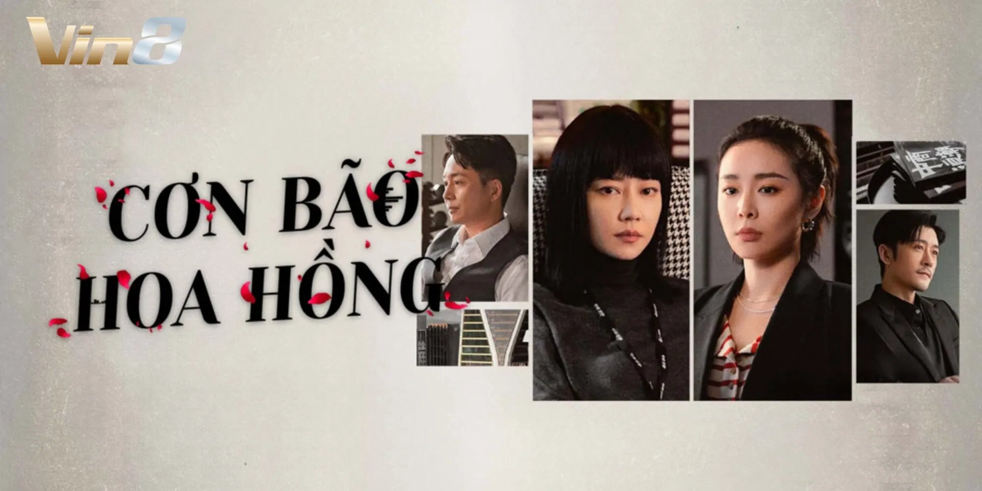 Cơn Bão Hoa Hồng Cơn Bão Hoa Hồng