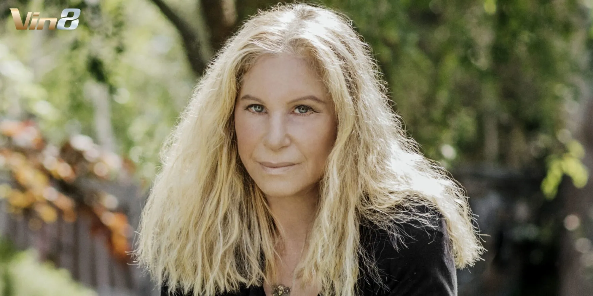 Di sản nghệ thuật và tài sản khổng lồ của Barbra Streisand Di sản nghệ thuật và tài sản khổng lồ của Barbra Streisand