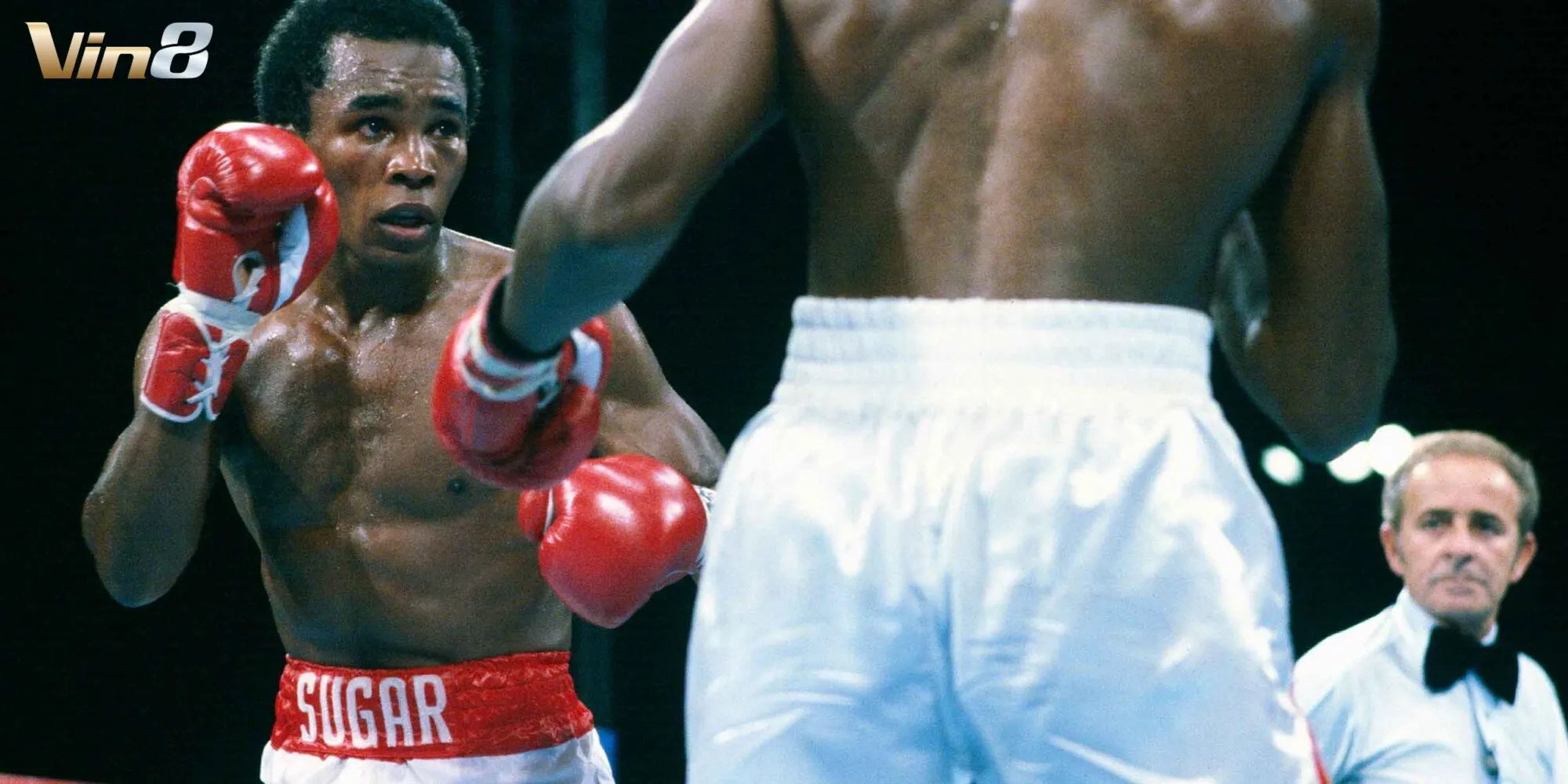 Sugar Ray Robinson chính là một nguồn cảm hứng cho những mầm non sau này Sugar Ray Robinson chính là một nguồn cảm hứng cho những mầm non sau này