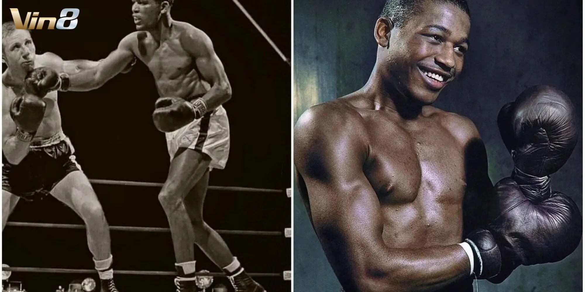 Sugar Ray Leonard là một trong những người đã làm góp phần bộ môn quyền anh trở lại thời kỳ hoàng kim Sugar Ray Leonard là một trong những người đã làm góp phần bộ môn quyền anh trở lại thời kỳ hoàng kim